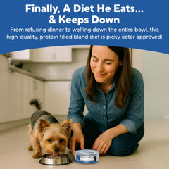 Dave's Pet Food Sensitive Stomach topper over kibble demonstrates versatile feeding option