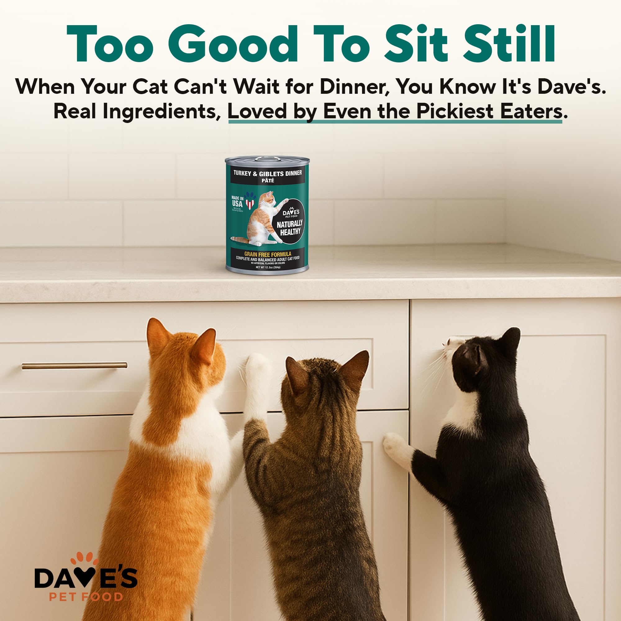 Dave's Pet Food served cat enjoying grain-free turkey pate
