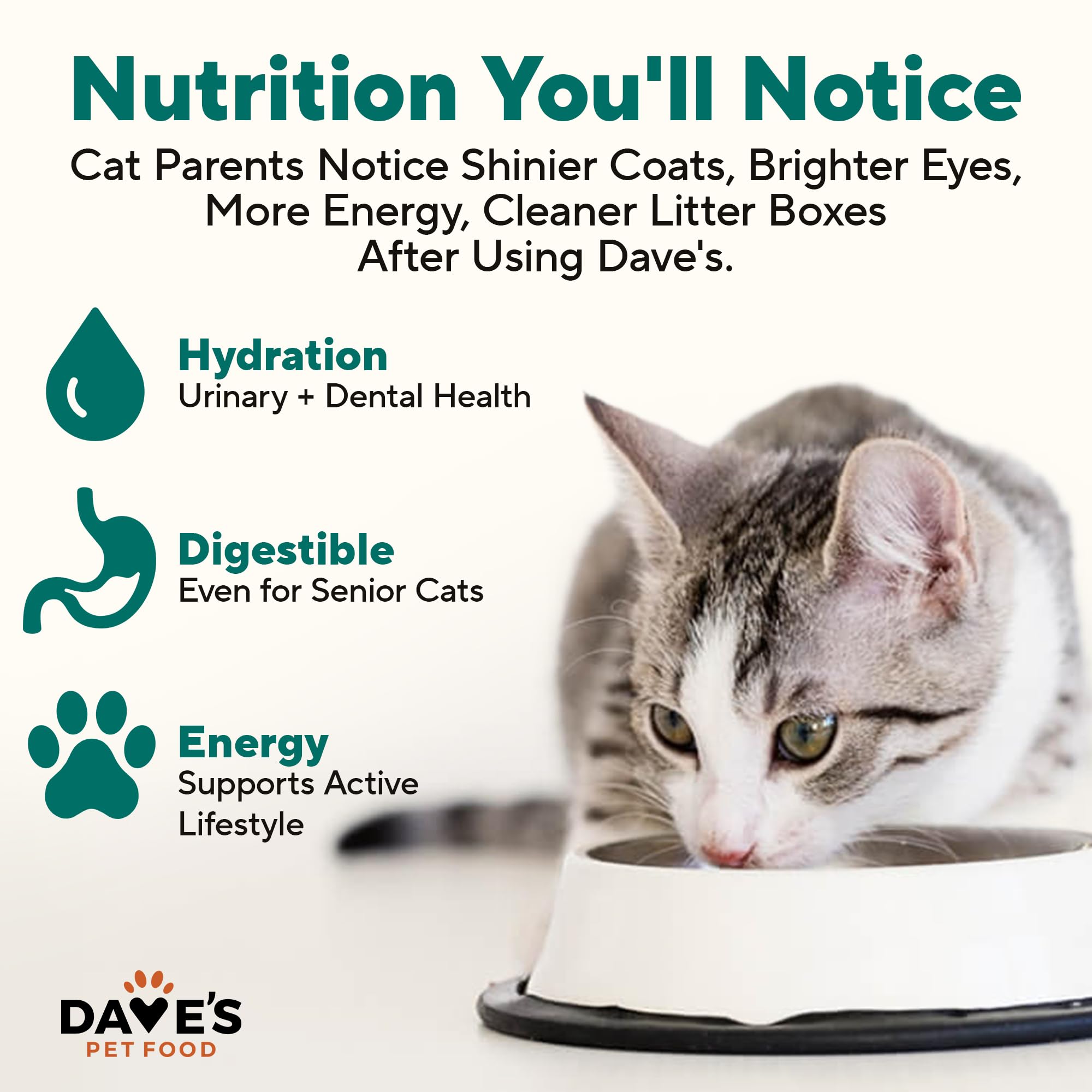 Dave's Pet Food serving bowl shows pate texture and palatability
