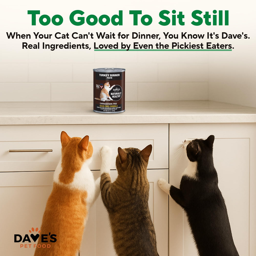 Dave's Pet Food turkey formula image shows wholesome ingredients and added vitamins for daily nutrition.