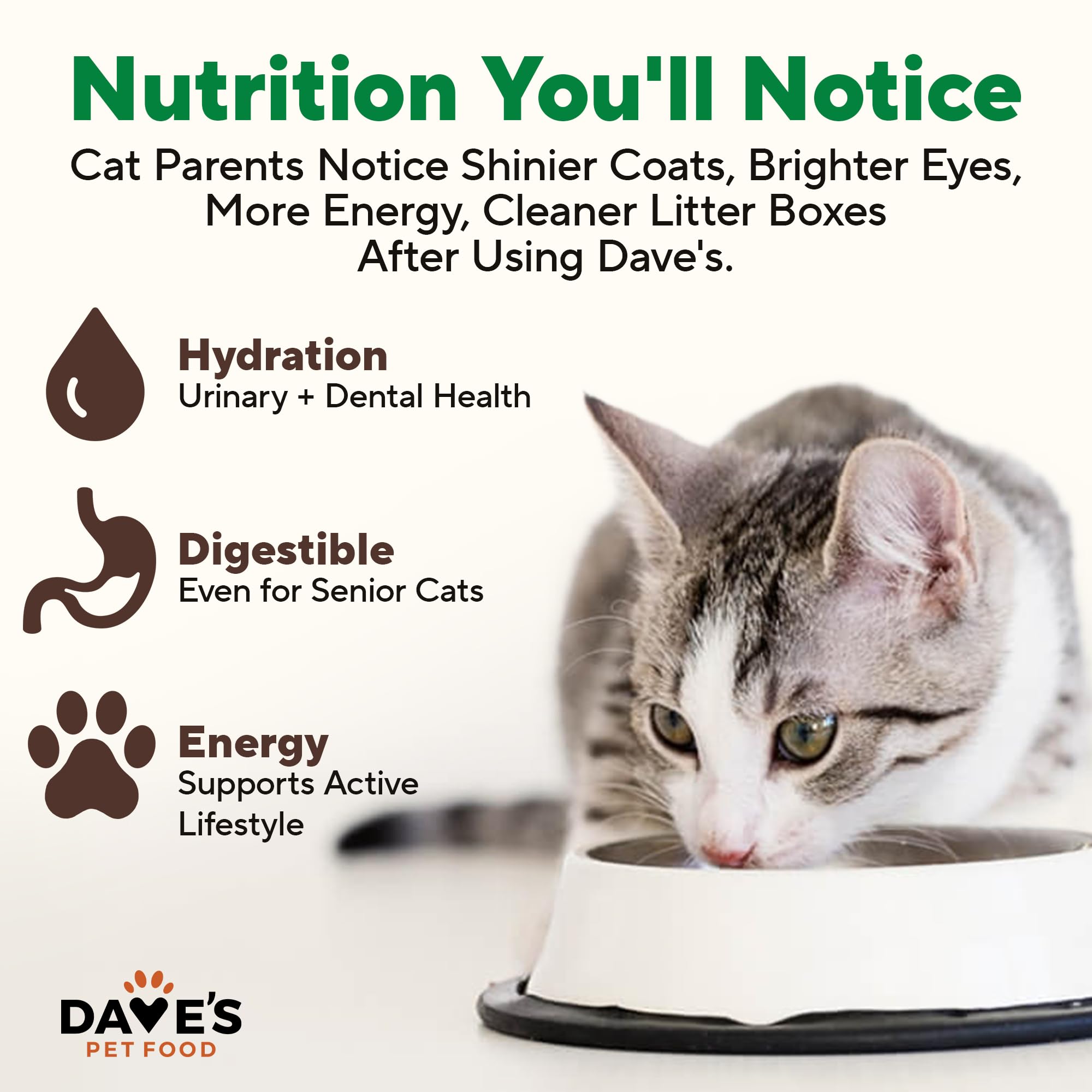 Dave's Pet Food USA-made production line shot reinforces trust and domestic sourcing.