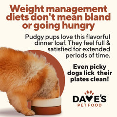 Dave's Pet Food Weight Management can lid closeup with no-prescription-needed convenience for weight management.
