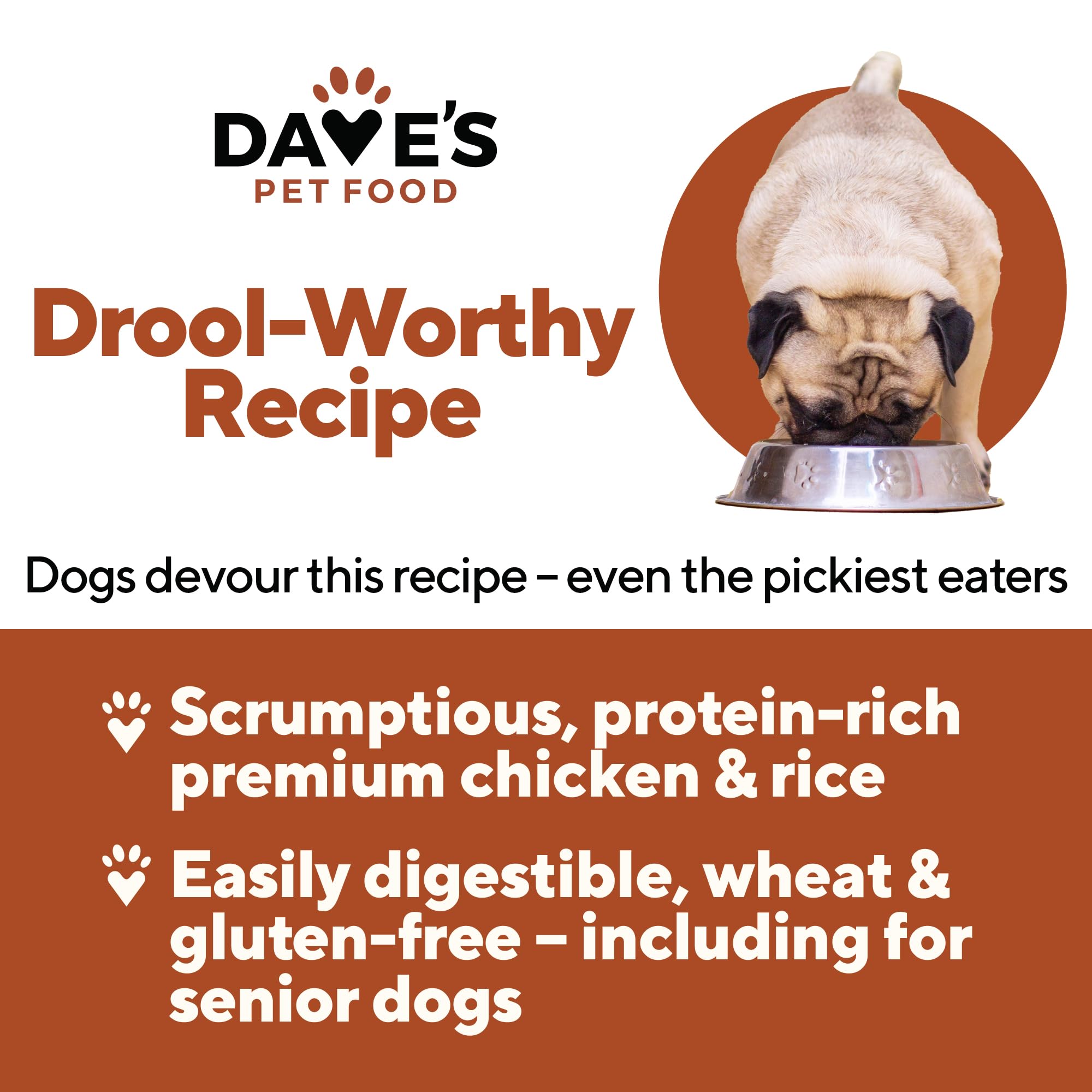 Dave's Pet Food wet canned dog food chicken rice can open reveals savory aroma.