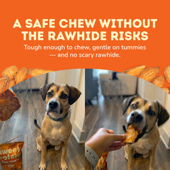 Davie's Naturals dehydrated sweet potato slices close-up shows chewy texture.
