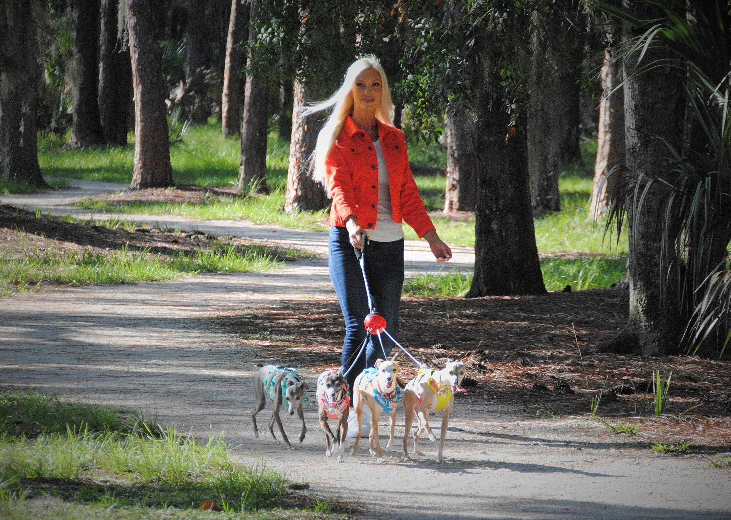 DAWG BAWL fixed-length leash system offers consistent control