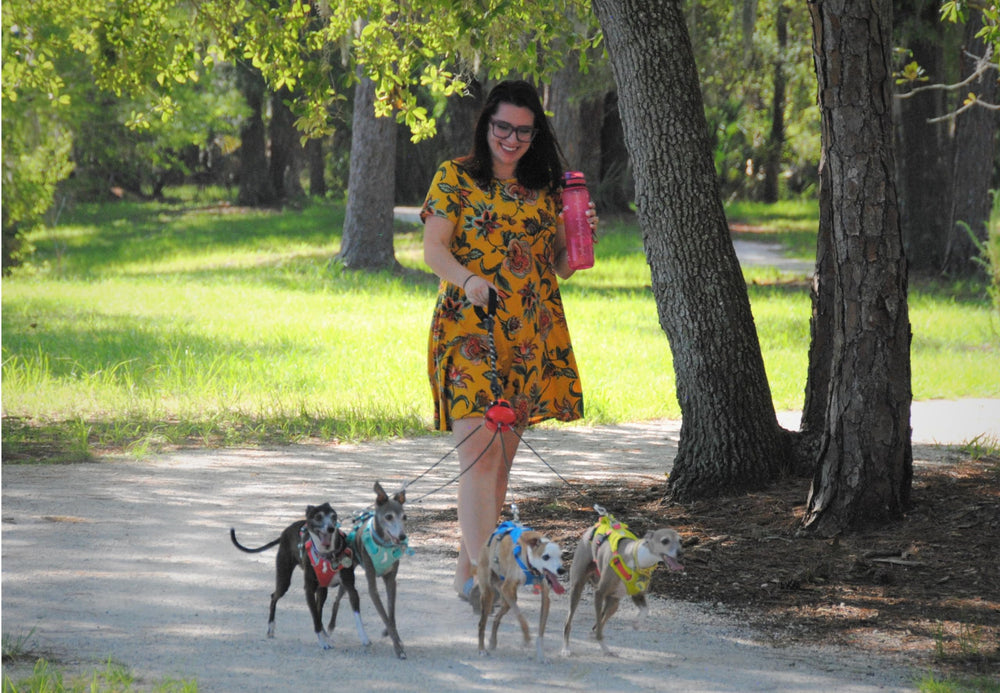 DAWG BAWL leads move freely to adapt to dog movements