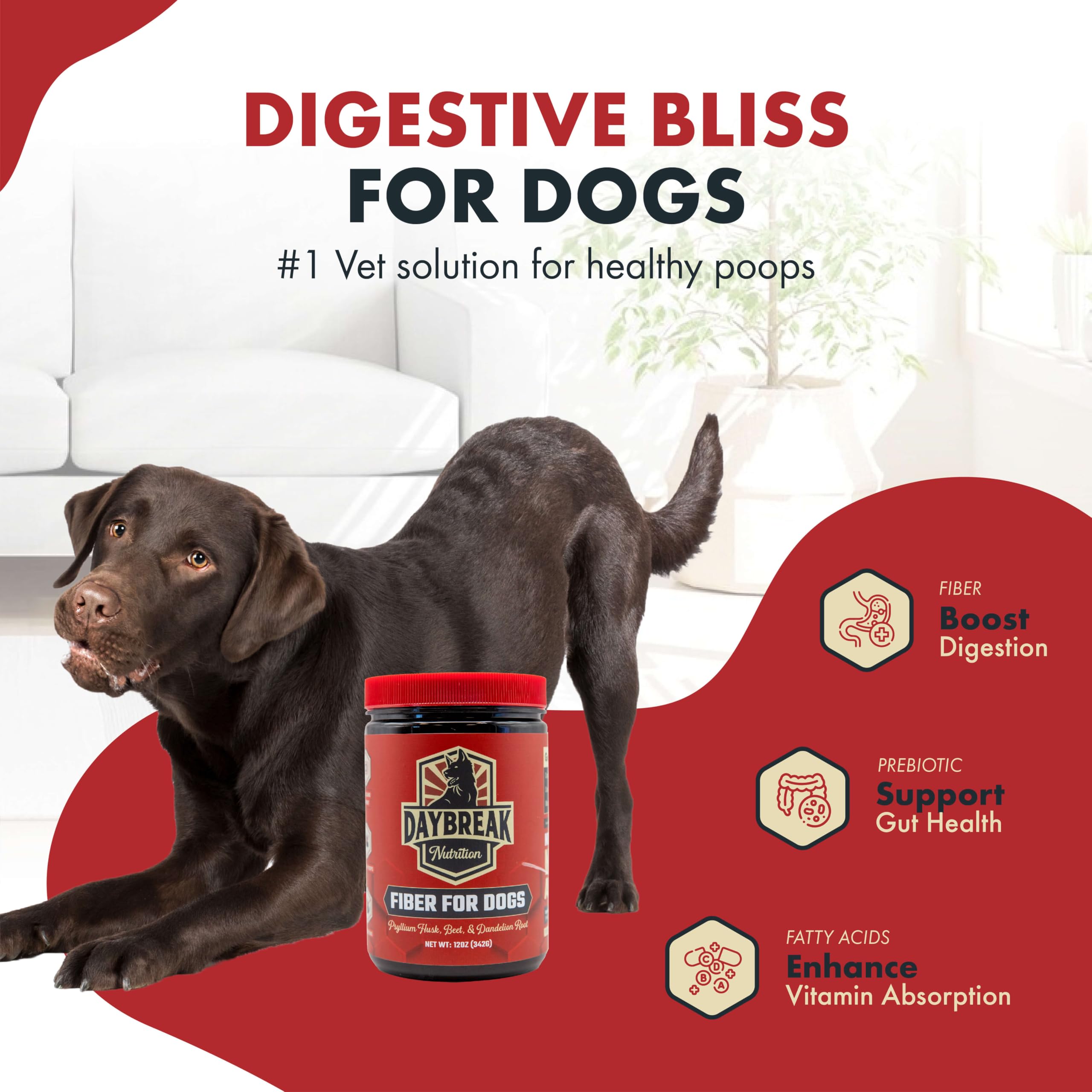 Daybreak Nutrition Fiber for Dogs beet root scoop highlighting fiber for healthy stools.