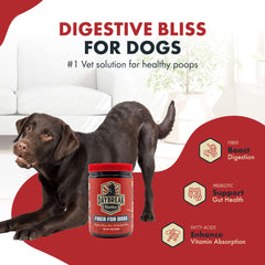 Daybreak Nutrition Fiber for Dogs beet root scoop highlighting fiber for healthy stools.