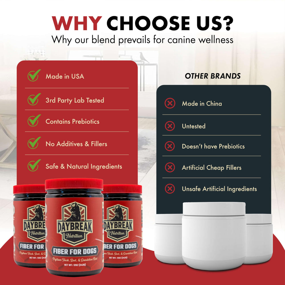 Daybreak Nutrition Fiber for Dogs dandelion root jar showing natural digestive herbs.