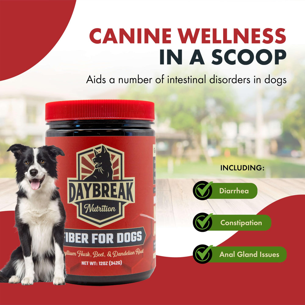 Daybreak Nutrition Fiber for Dogs dog bowl with fiber serving.