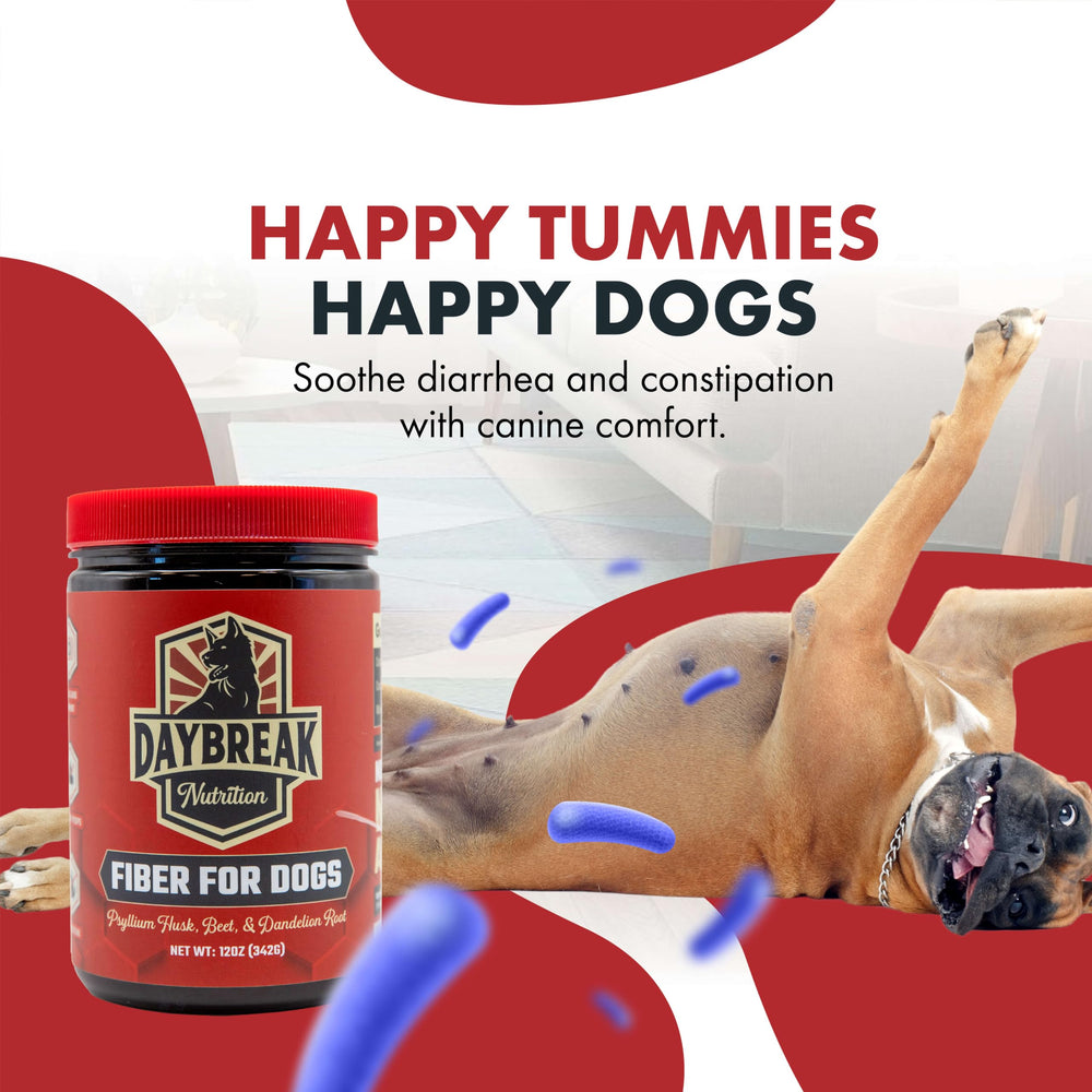 Daybreak Nutrition Fiber for Dogs flaxseed powder as natural fiber source.
