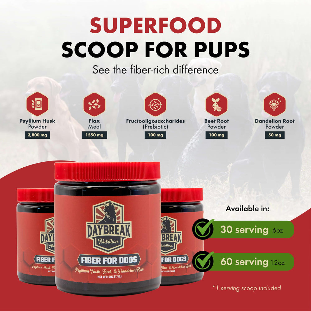 Daybreak Nutrition Fiber for Dogs prebiotics spoon illustrating gut-friendly blend.
