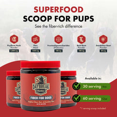 Daybreak Nutrition Fiber for Dogs prebiotics spoon illustrating gut-friendly blend.