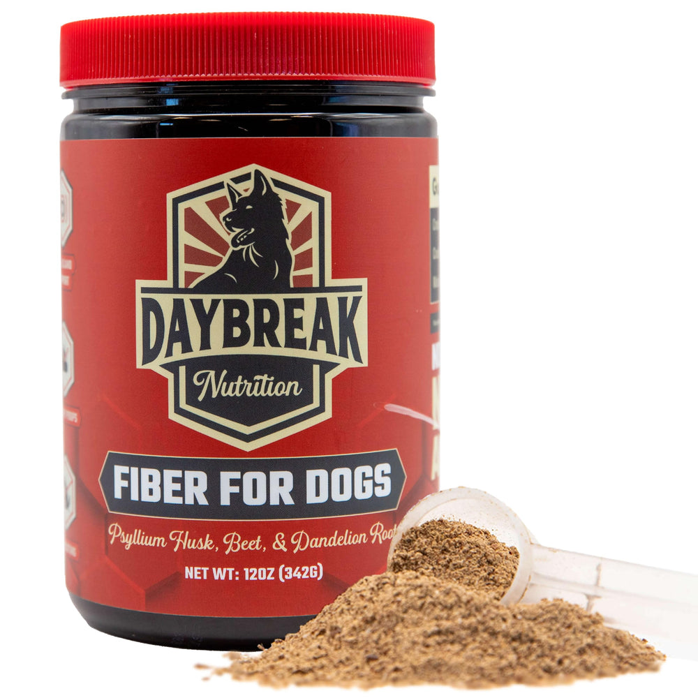 Daybreak Nutrition Fiber for Dogs bottle shows psyllium husk for digestive support.