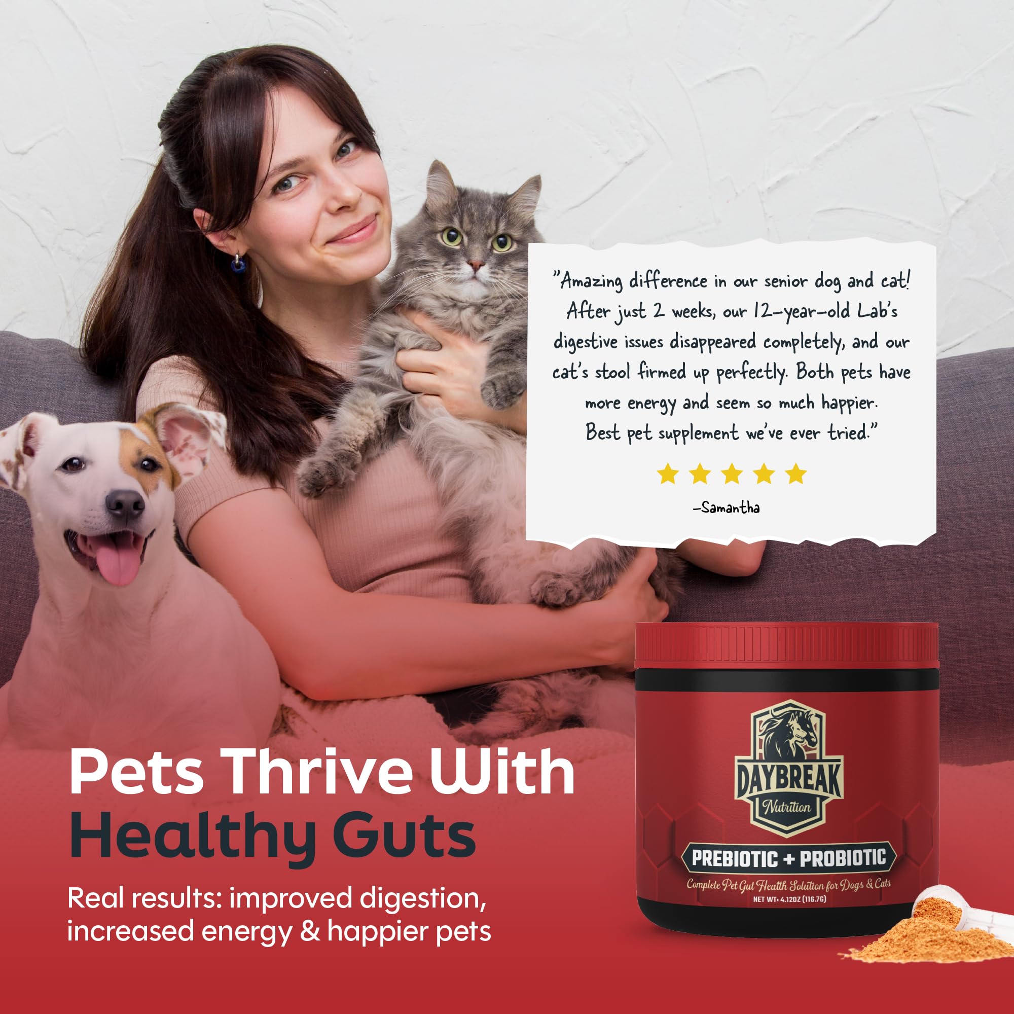 Daybreak Nutrition Probiotics frente al frasco; empaque premium para hogares con varias mascotas.