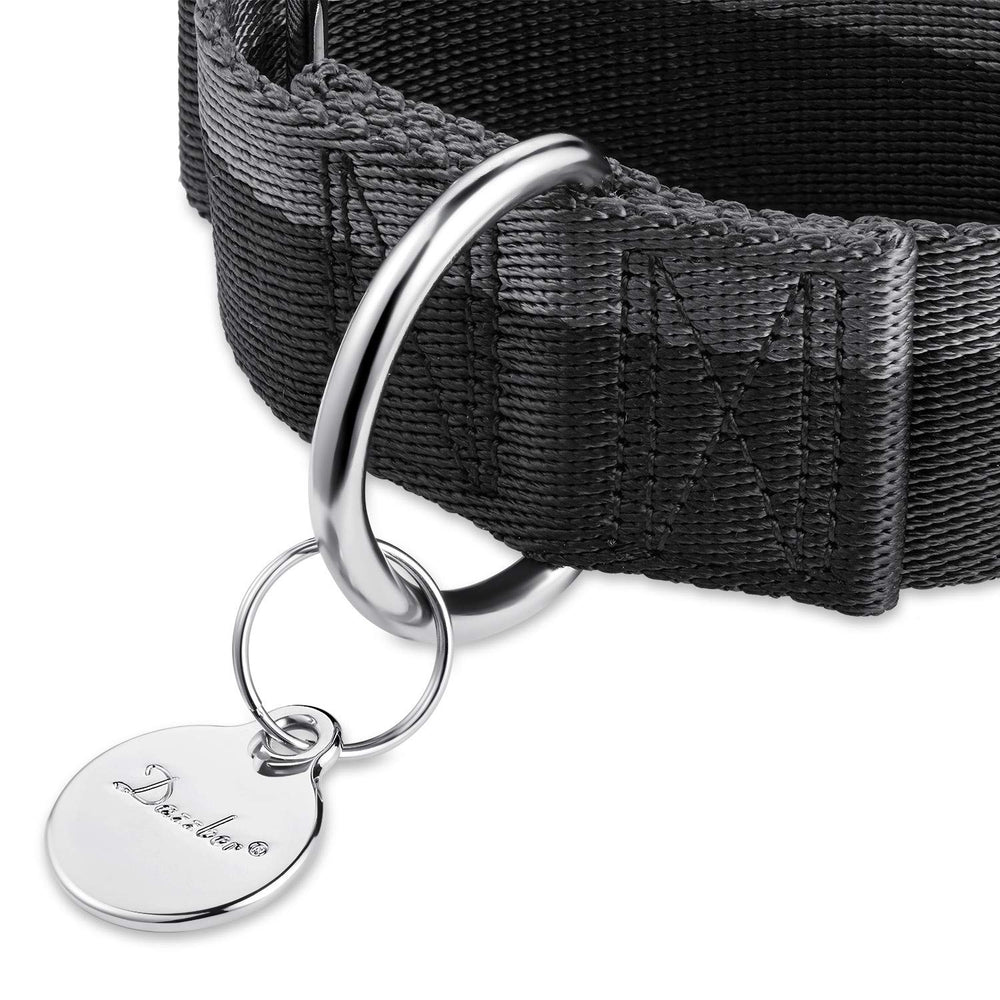 Dazzber martingale collar close-up shows 1200D nylon and durable hardware.