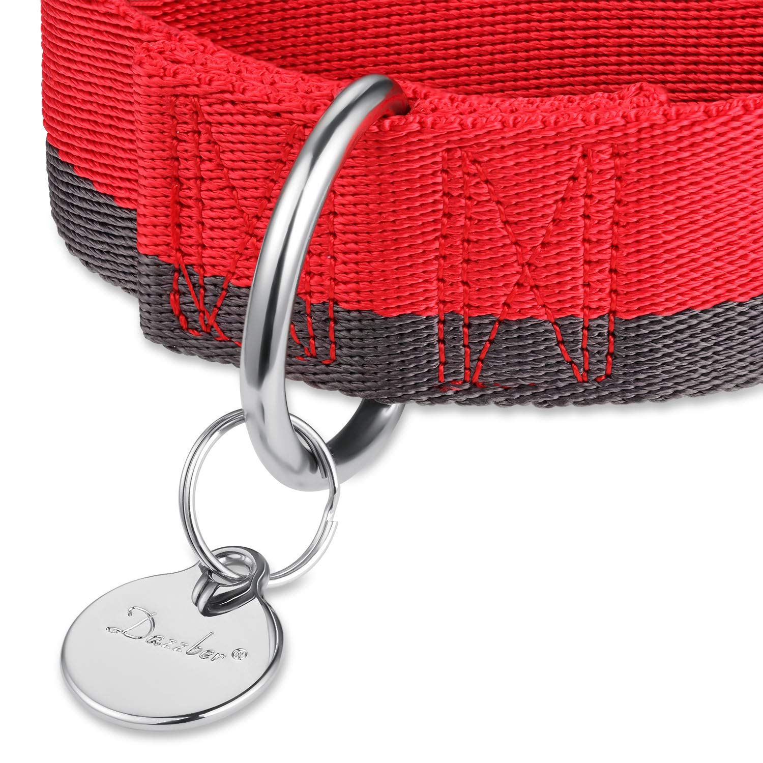 Dazzber martingale collar front view featuring no-buckle anti-pull design