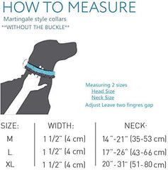 Dazzber martingale collar on large dog during walk prevents escapes and easing pulls.