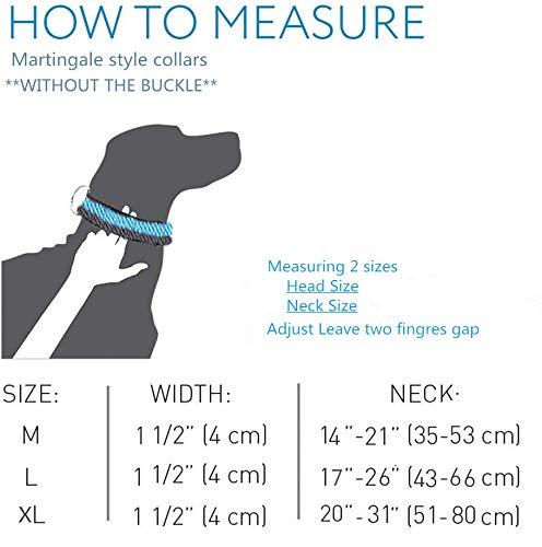 Dazzber martingale collar 1200D nylon detail emphasizes durability in all weather