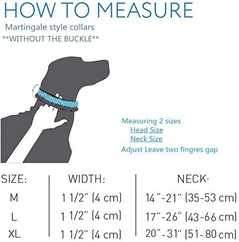 Dazzber Martingale Collar on dog neck showing secure fit and escape-preventing design.