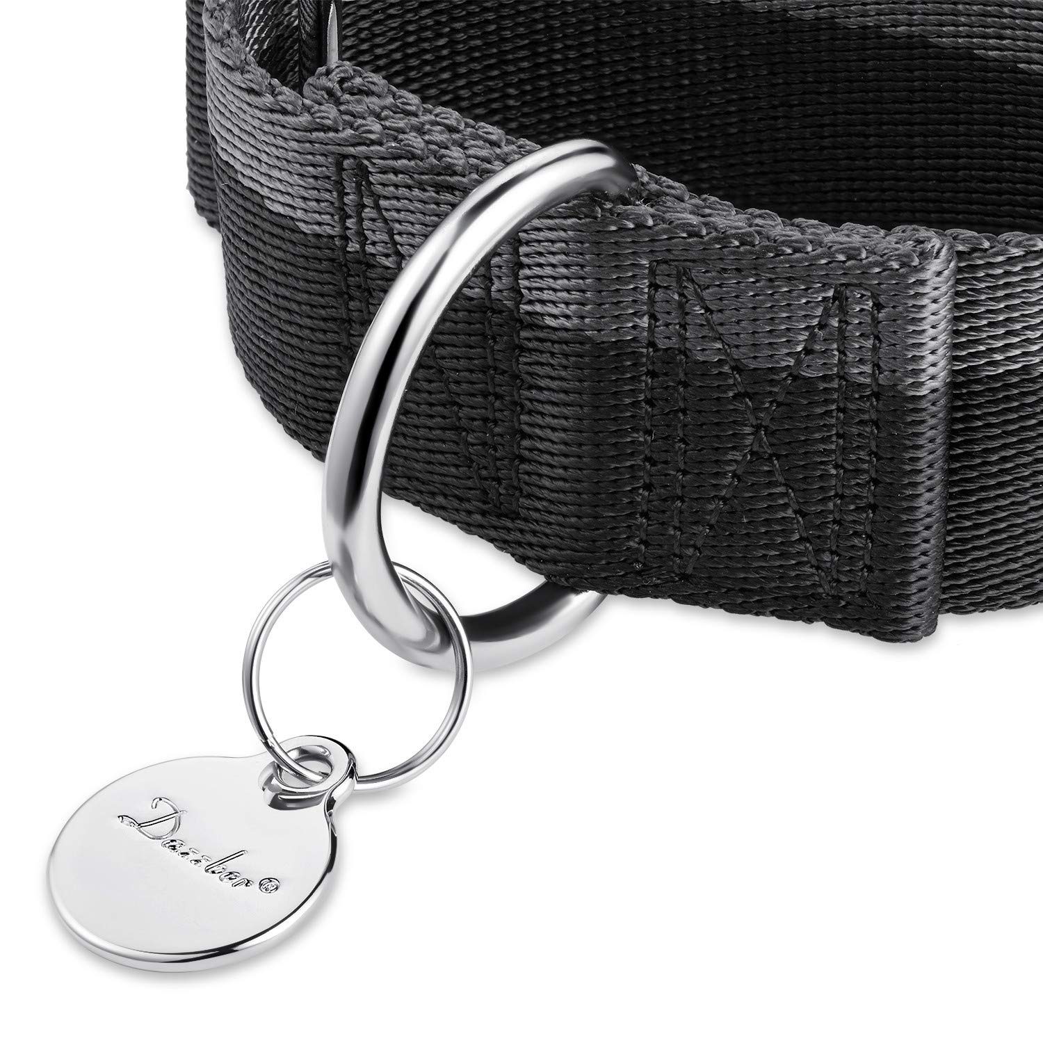 Dazzber Martingale Collar side view showing wide 1.5 inch profile for large dogs.