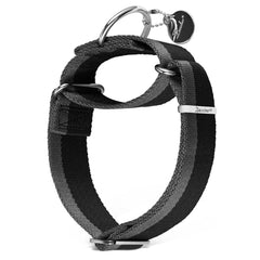 Dazzber Martingale Collar strap closeup highlighting durable 1200D nylon construction.
