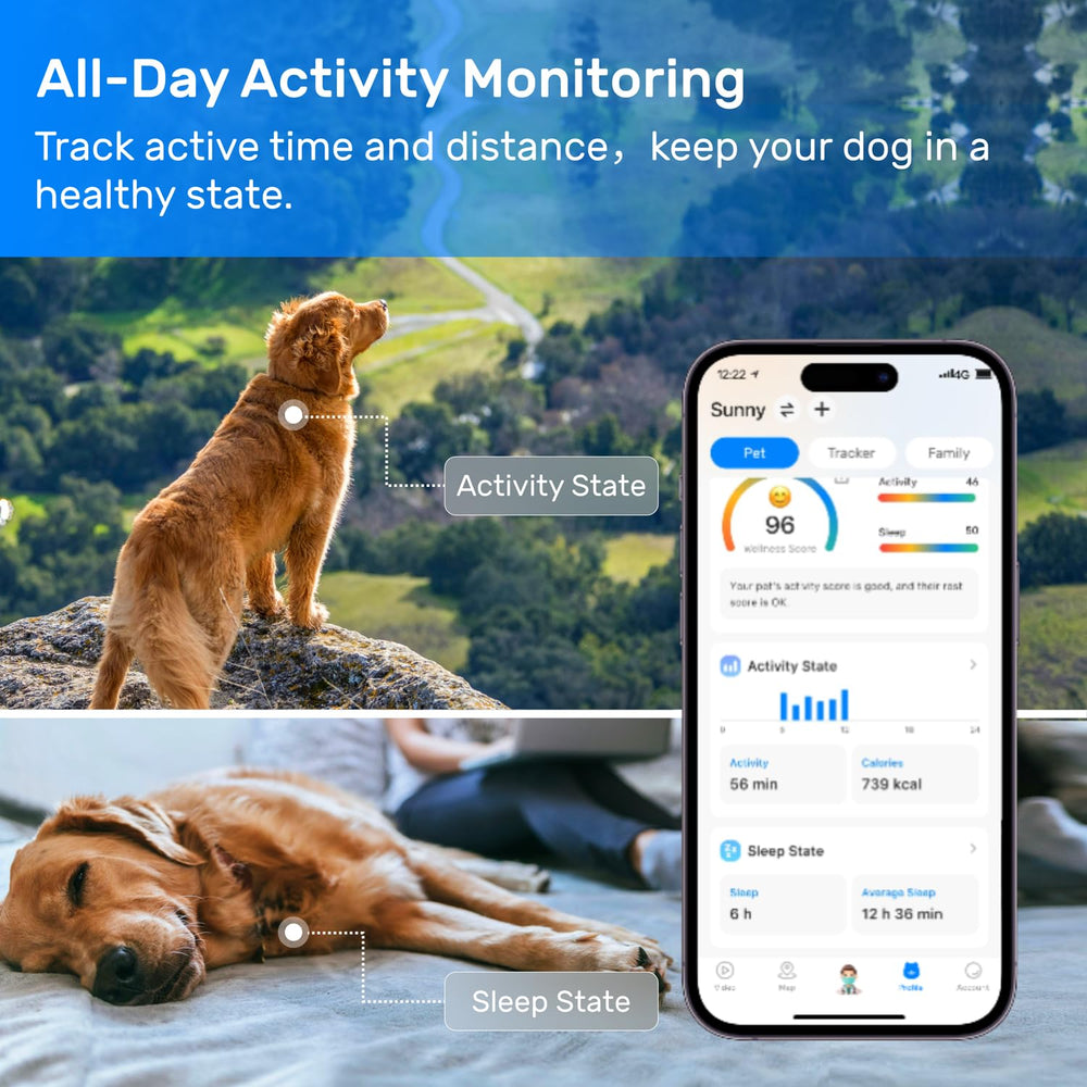 DBDD AI Vet feature illustration supports common pet-care questions.