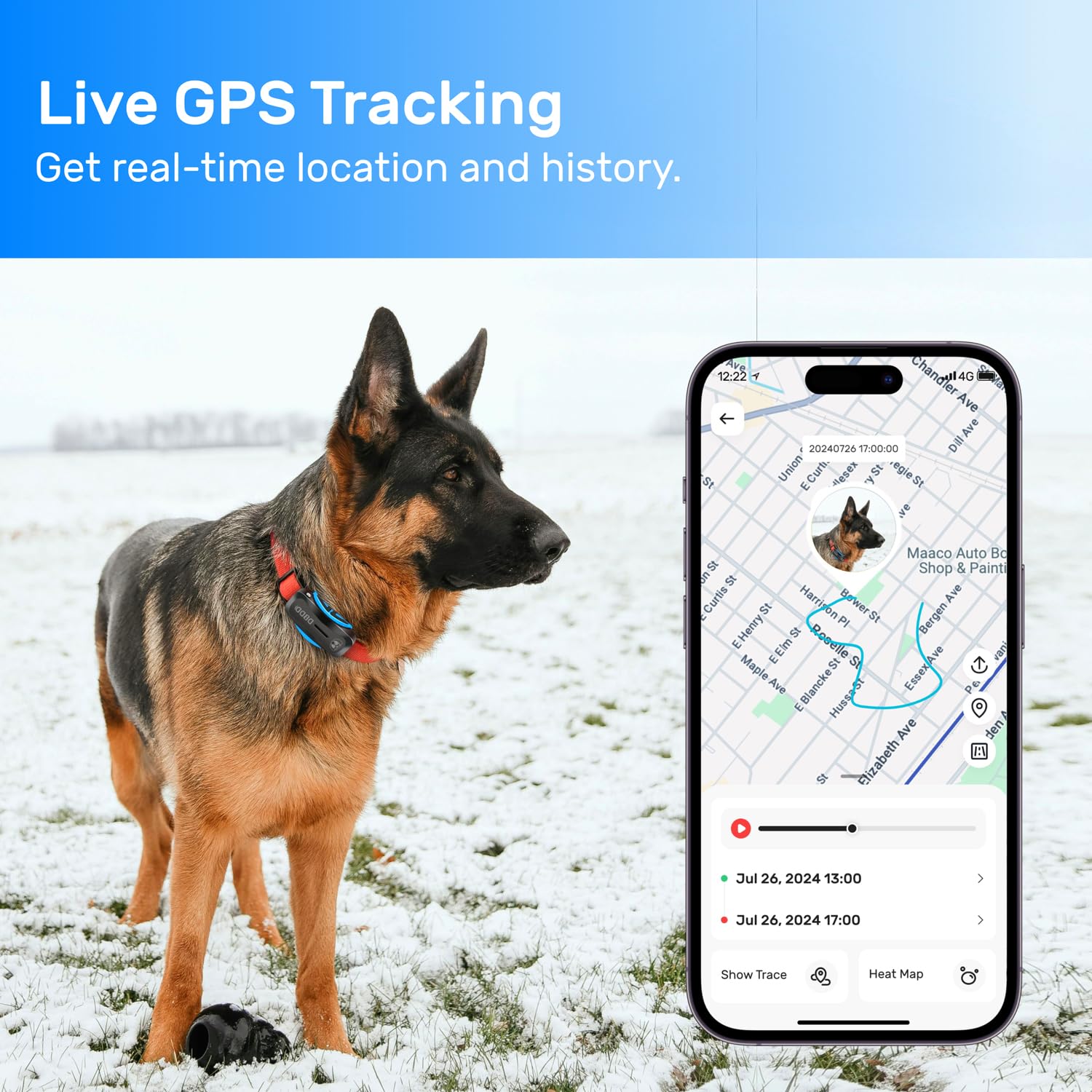 DBDD Lightweight tracker on a collar during outdoor walks and play.