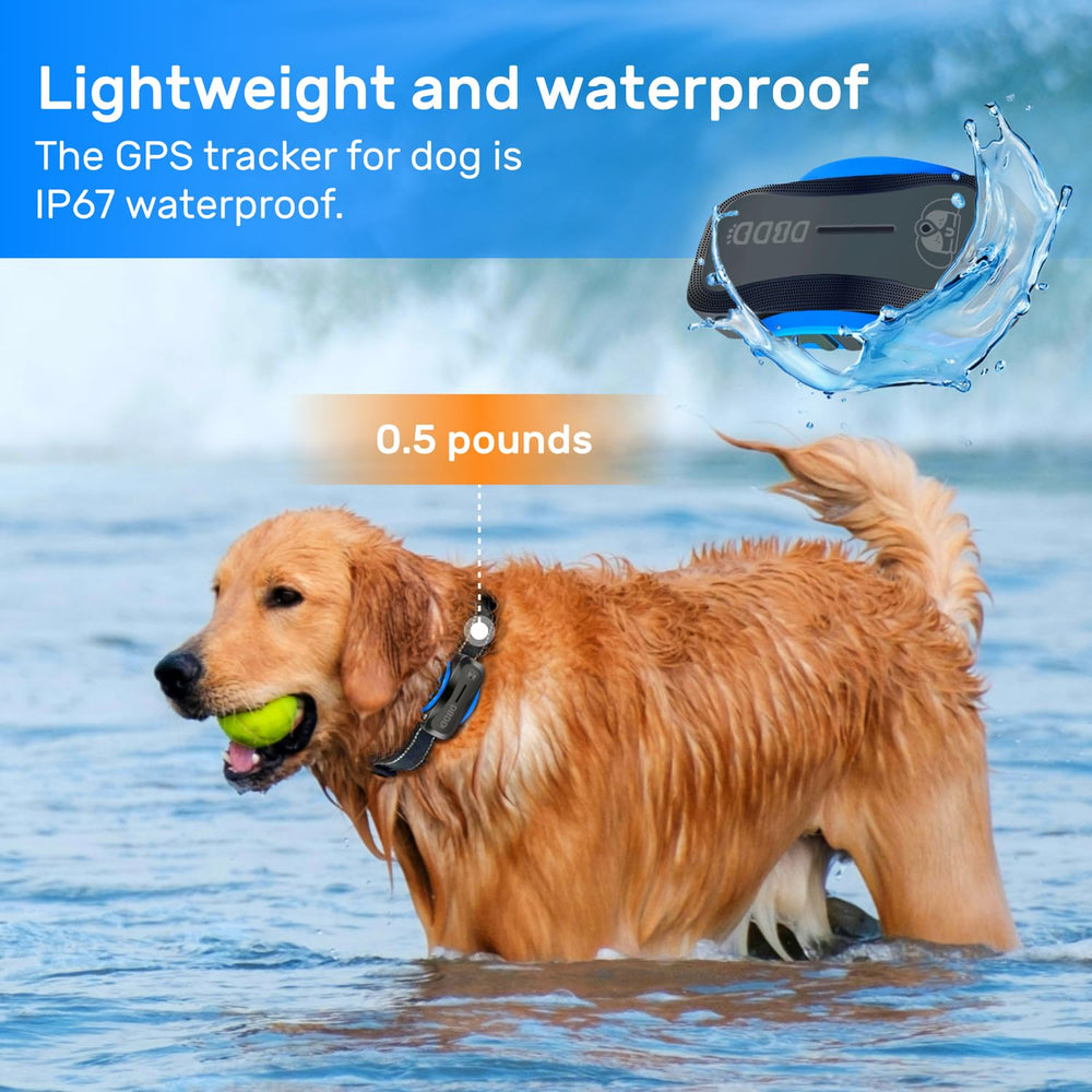 DBDD Waterproof IP67 tracker on dog collar for rain and snow resilience.