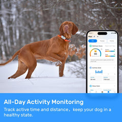 DBDD Dog GPS Tracker location history view helps retrace your dog's day