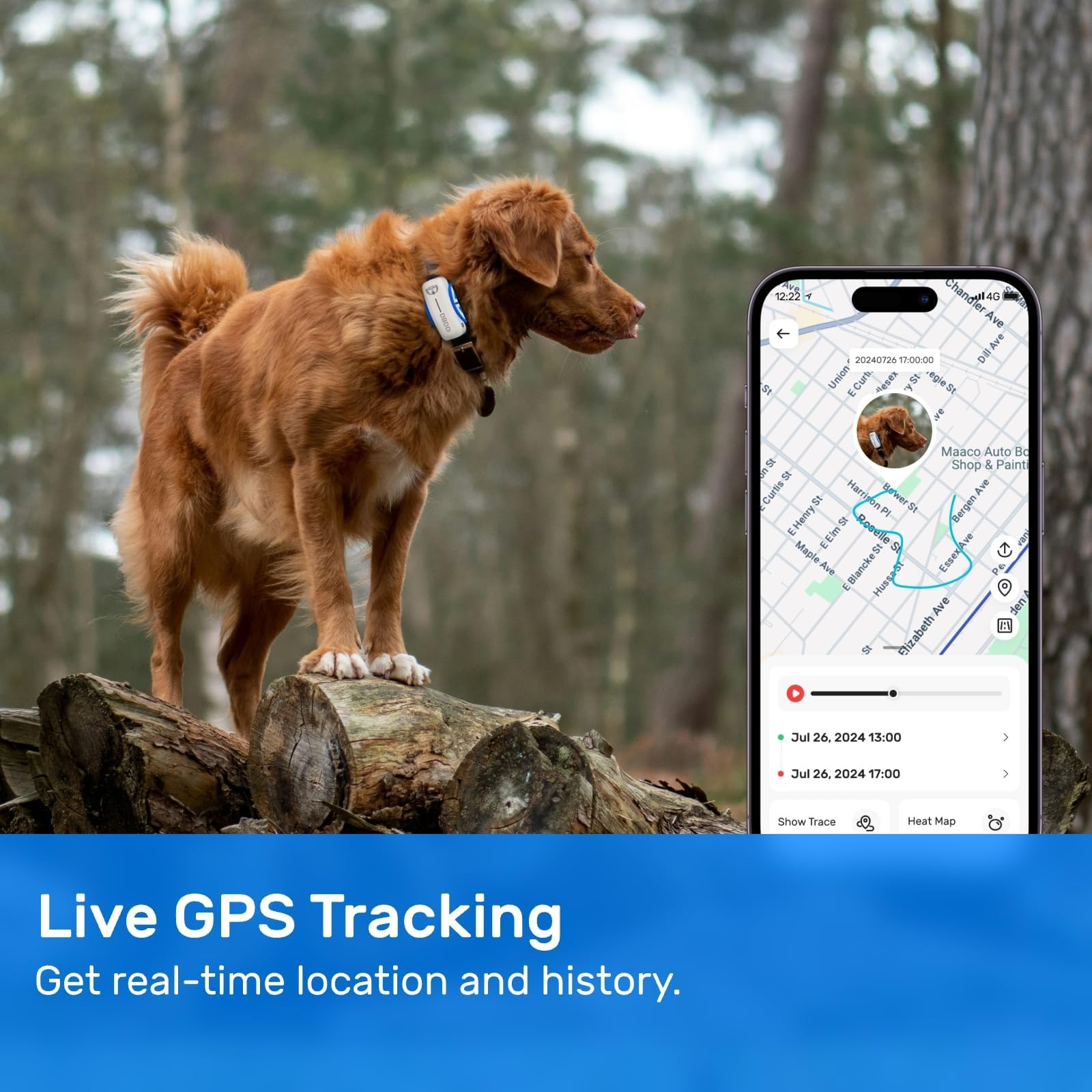 DBDD subscription plans start from $4.50 per month with no hidden costs