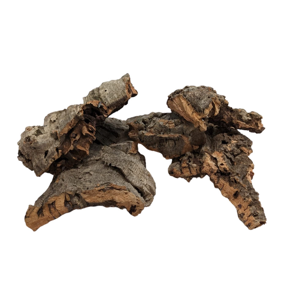 DBDPet cork bark terrarium decor enhances naturalistic setups and hides.