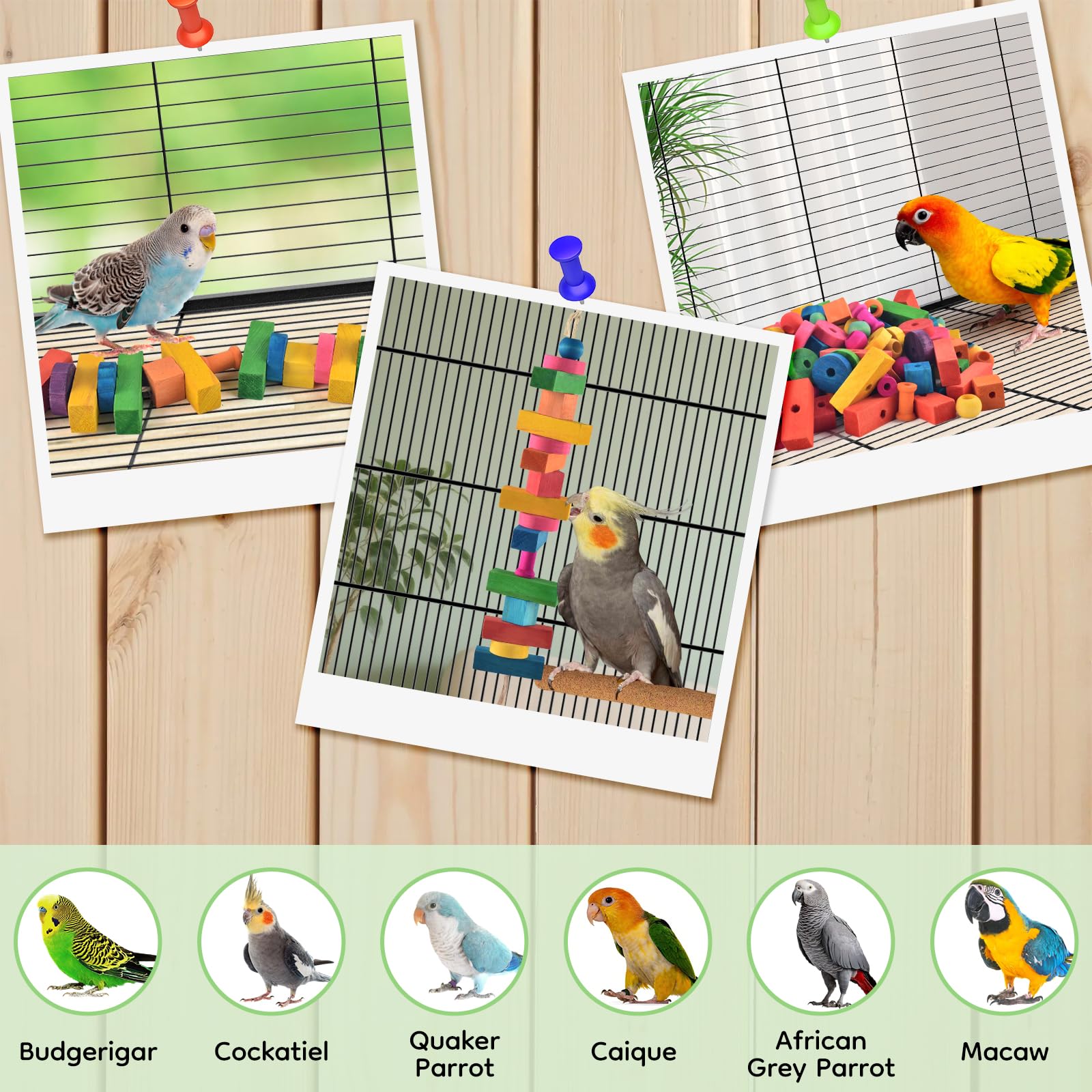 DBNESS Cage-ready decorative toy arrangement with vibrant blocks.
