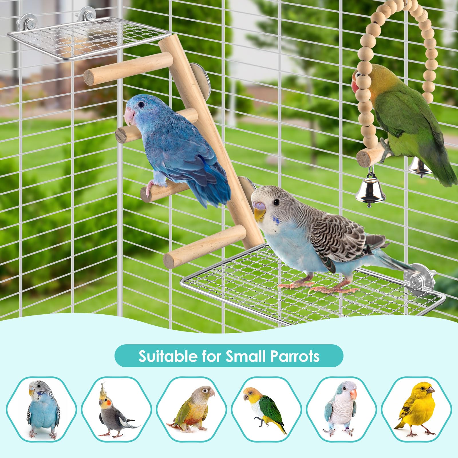 DBNESS easy-install ladder and swing for cages.