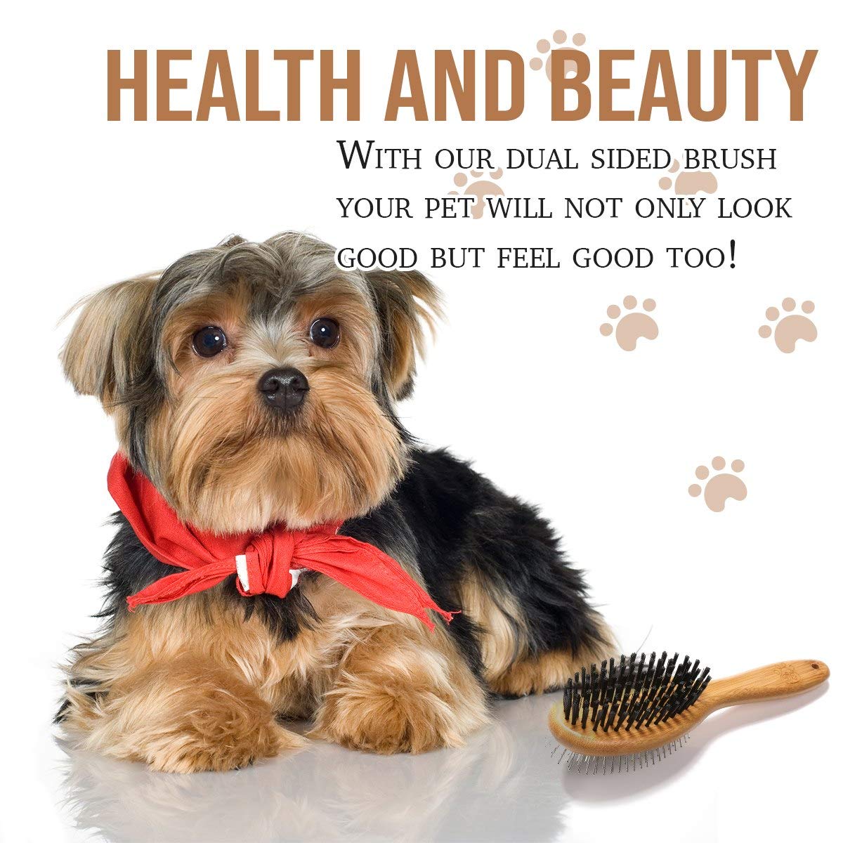 KylePet easy-clean design simplifies maintenance after grooming sessions.