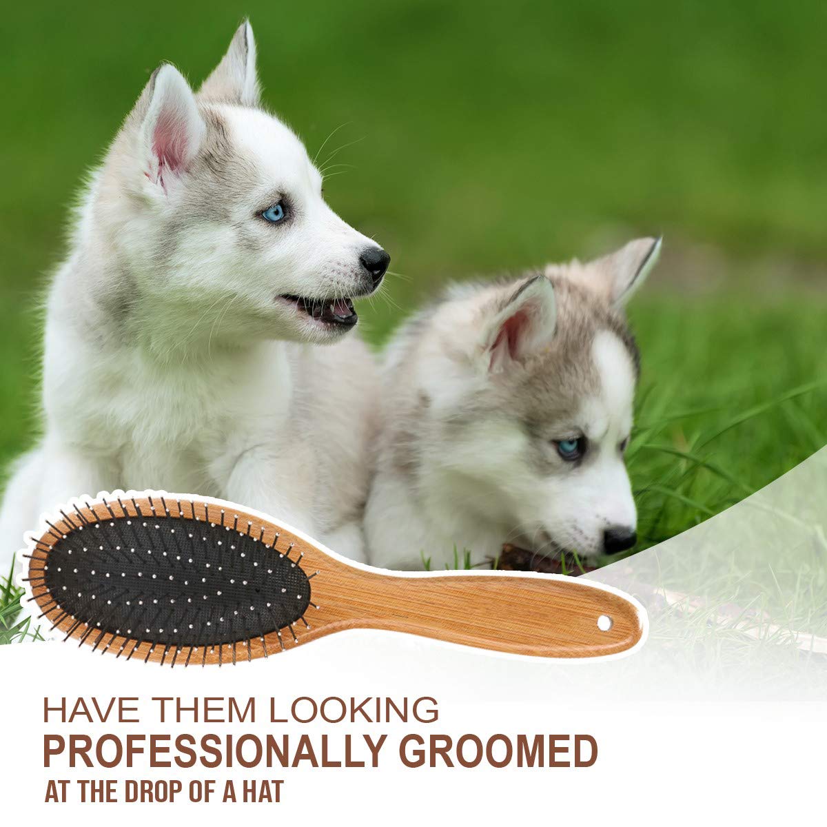 KylePet soft-round-pins offer skin-safe brushing and light massaging sensations.