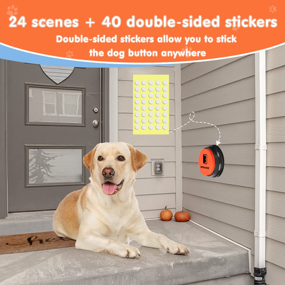 DCIAER-24-scene-patterns offer variety to customize training prompts.