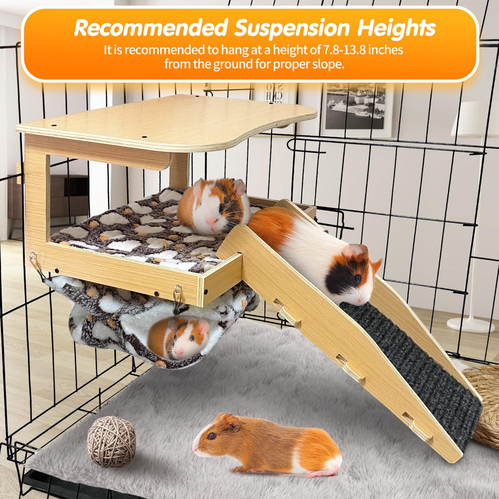 DCIAER guinea pig assembly guide showing screw-fit setup