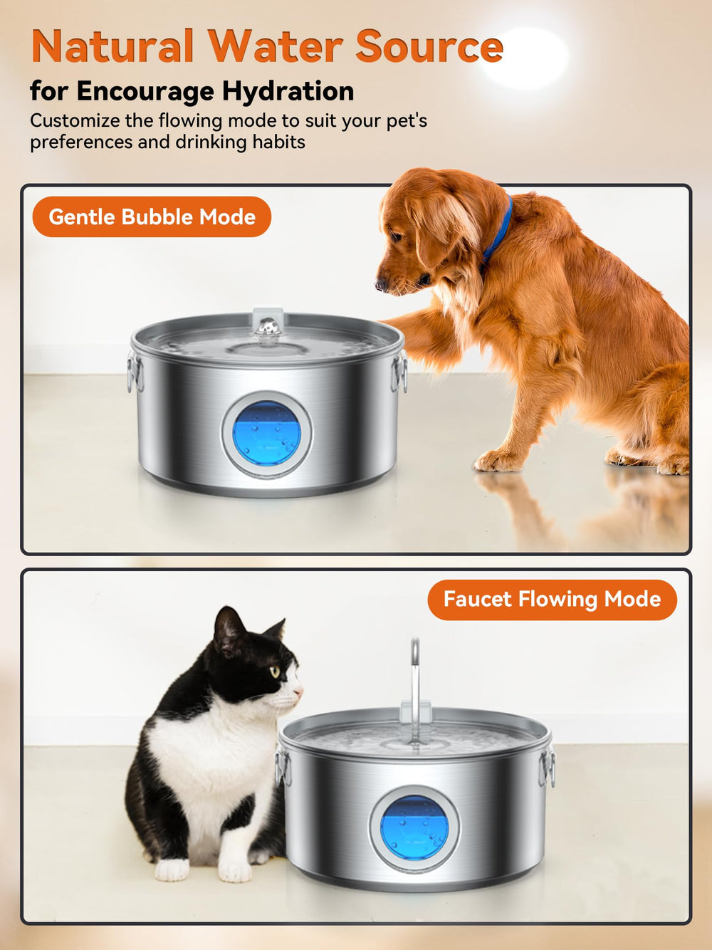 DCIOGAT multi-pet home setup showing shared drinking station