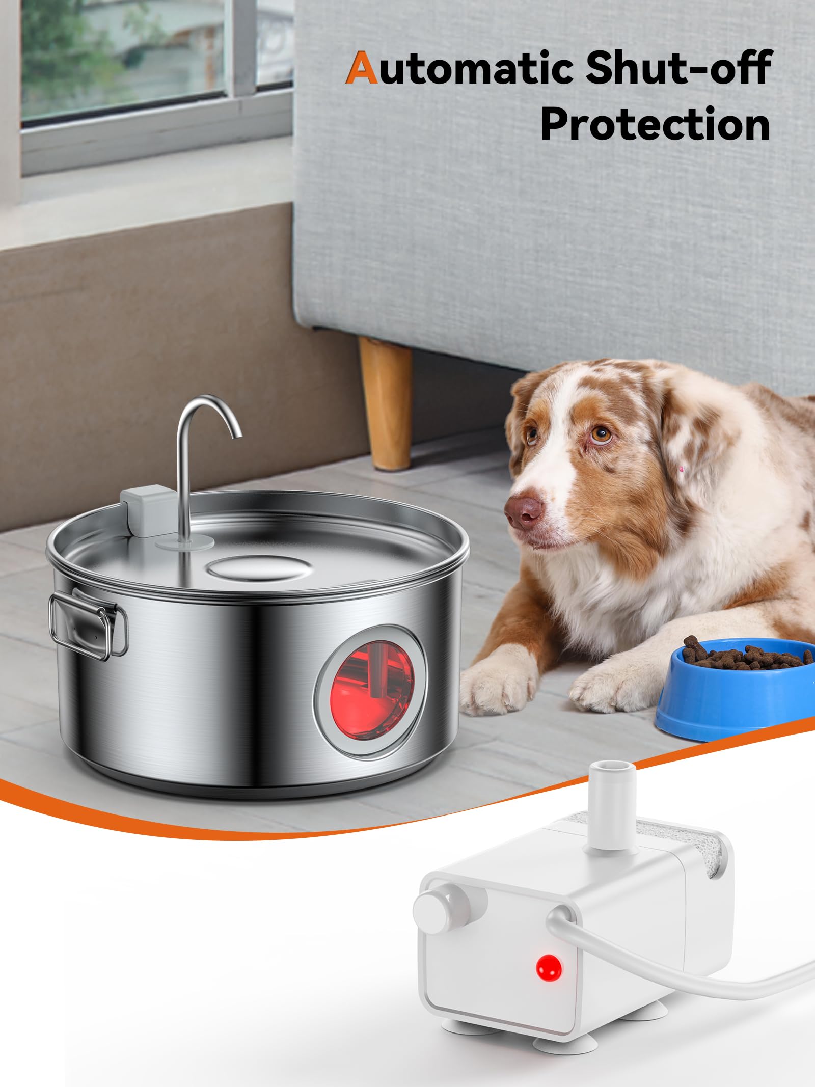DCIOGAT wide drinking area supports larger dogs during hydration.