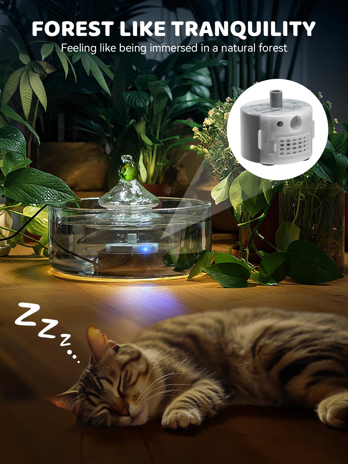 DCIOGAT 3.2L capacity graphic demonstrates ample water for cats and small dogs.
