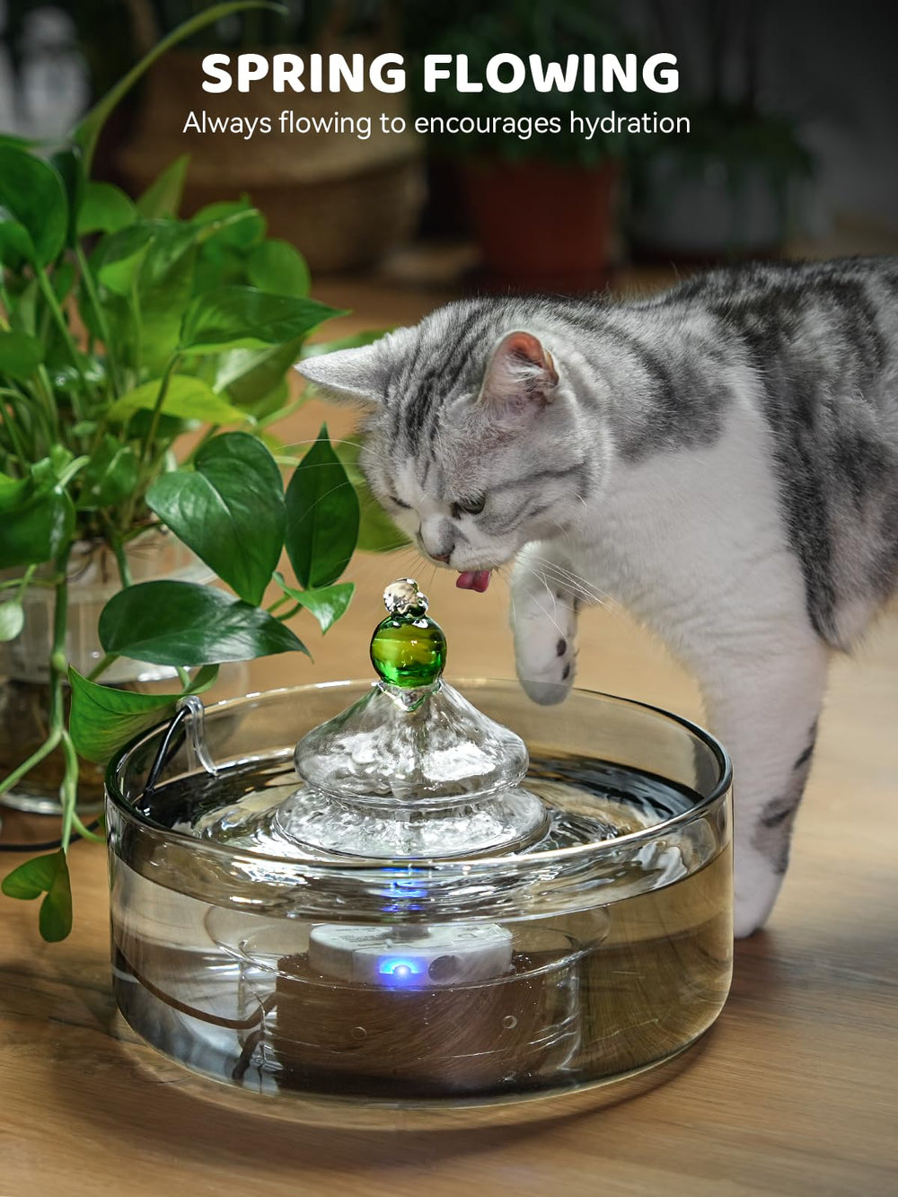 DCIOGAT cat fountain transparent water shows real-time status and easy monitoring of freshness.