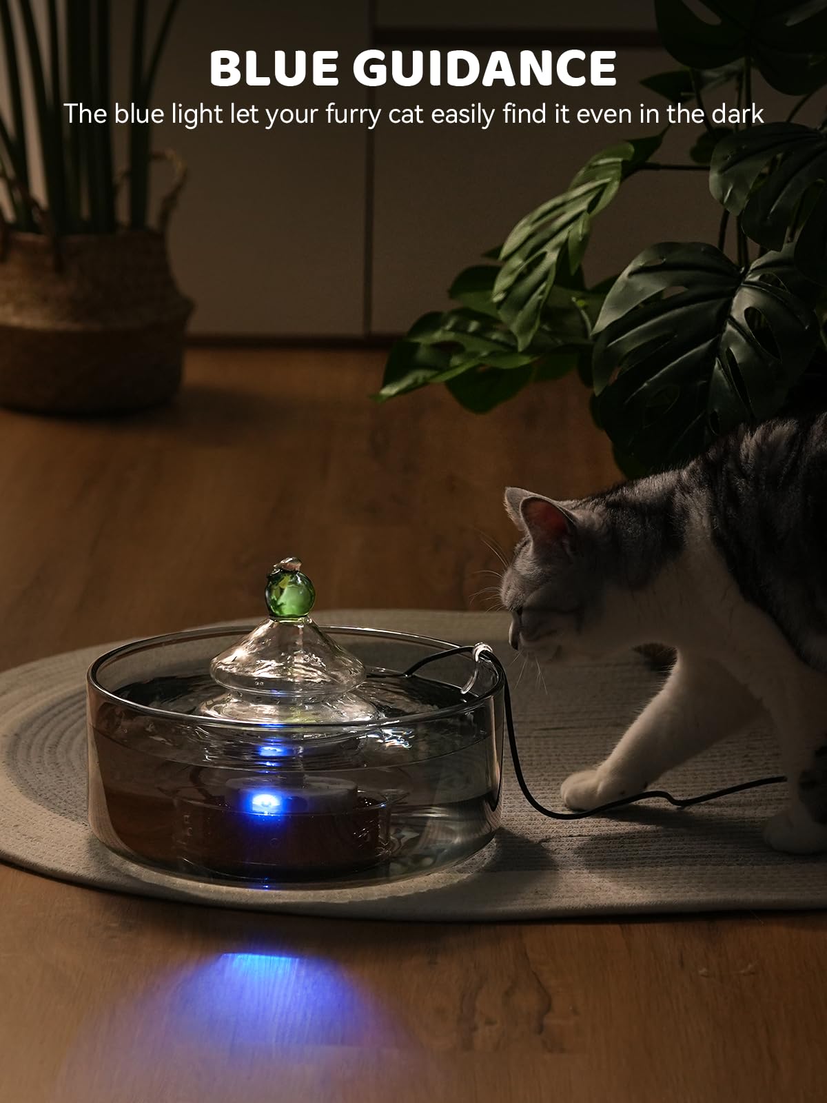 DCIOGAT LED-light glass fountain adds ambient visibility during evening hours.