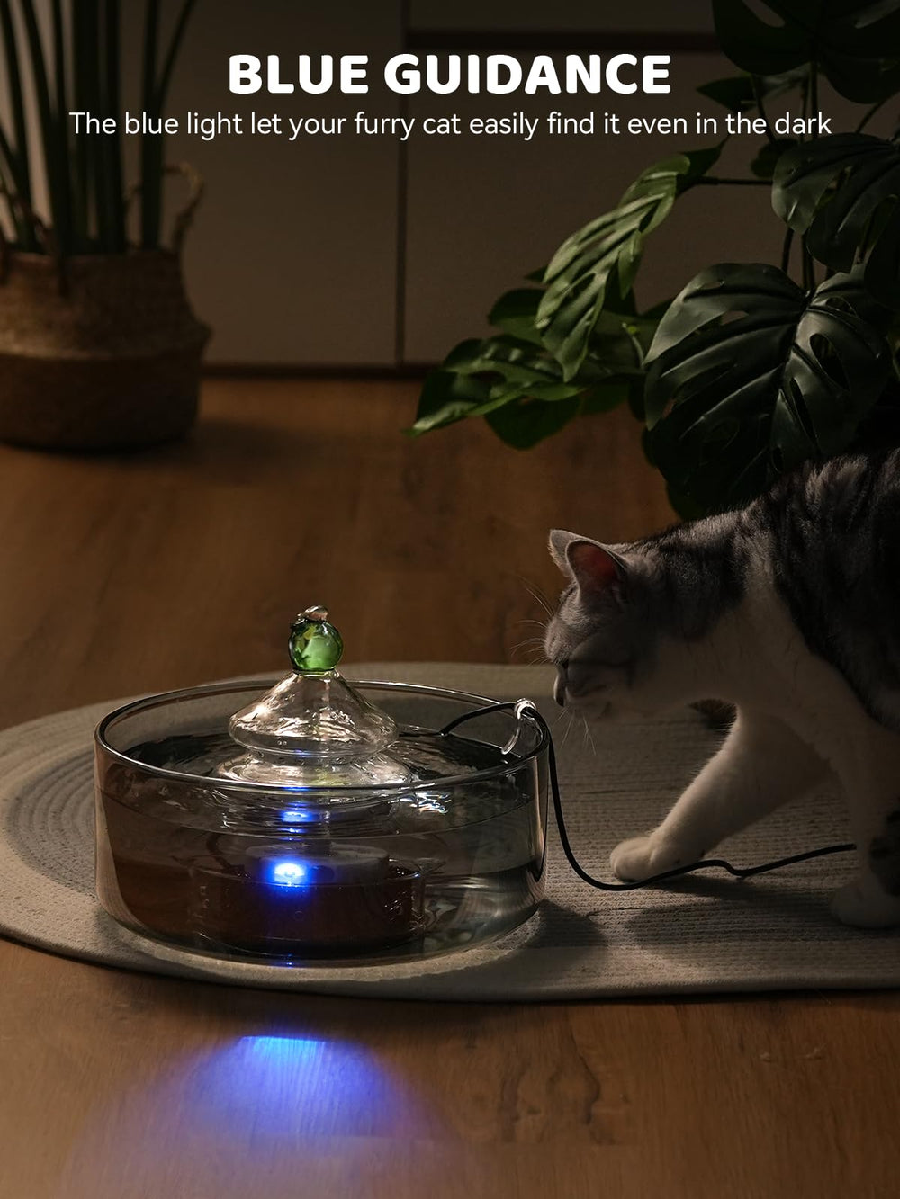 DCIOGAT LED-light glass fountain adds ambient visibility during evening hours.
