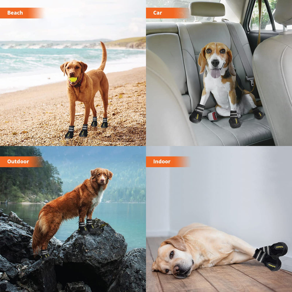 DcOaGt paw-width measuring guide image helps find the right size.