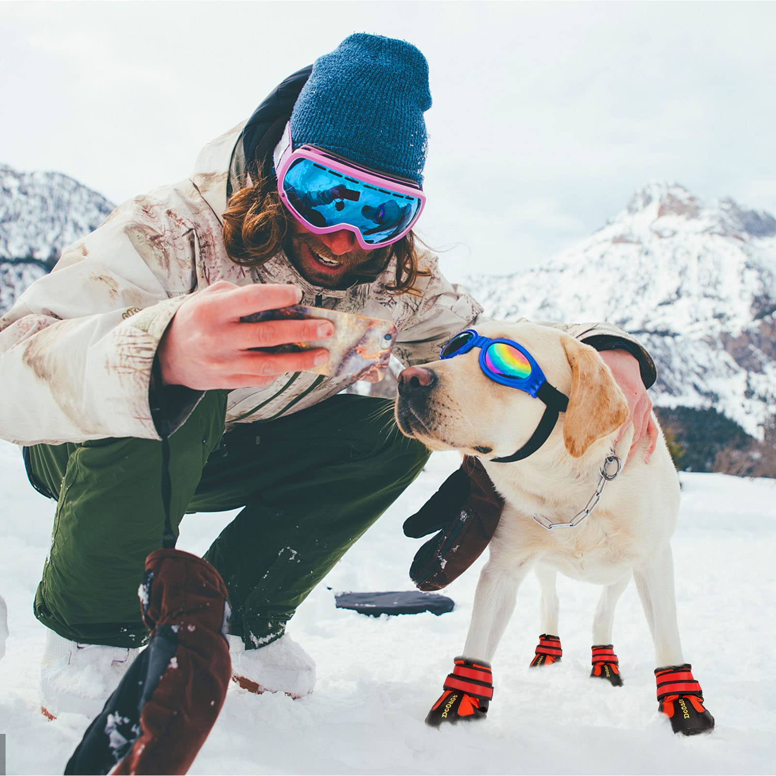 DcOaGt adjustable straps ensure a secure fit for active dogs.