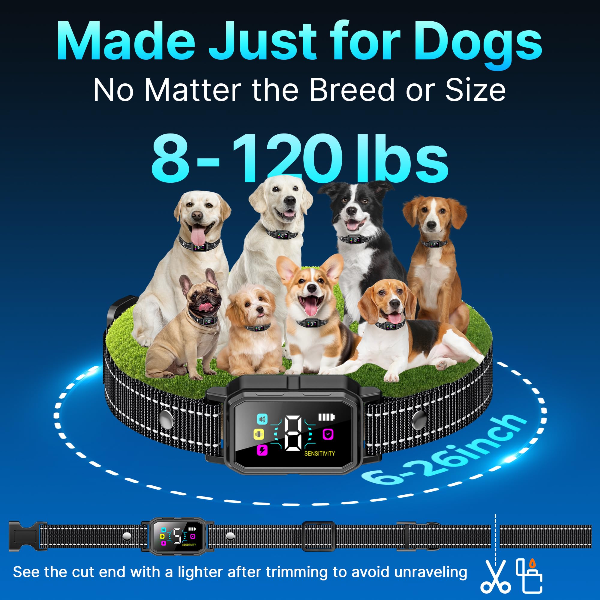 DcvPlan three-pack dogs-park-training demonstrates versatile outdoor use