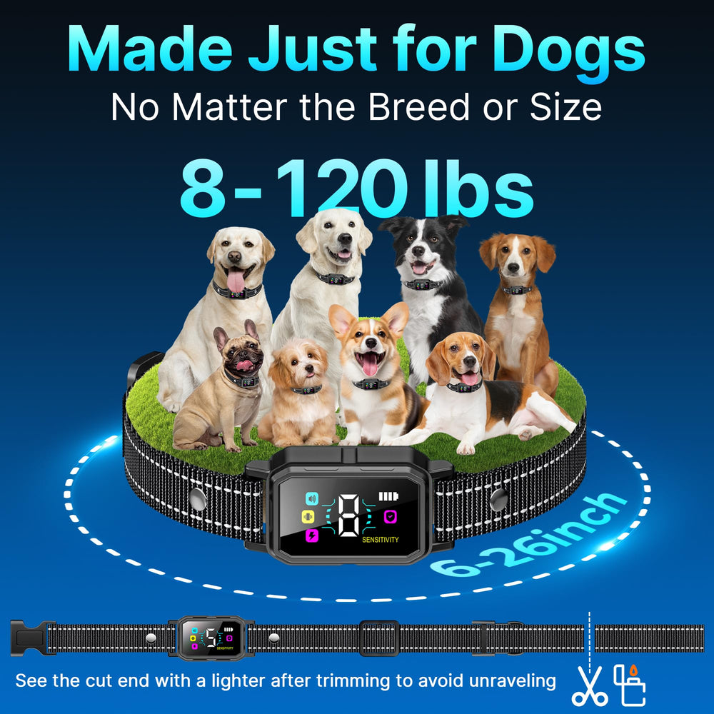 DcvPlan three-pack dogs-park-training demonstrates versatile outdoor use