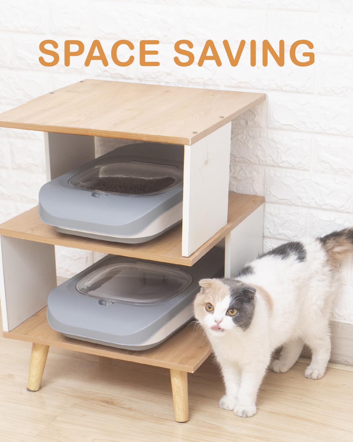 DDMOMMY pet food scoops and measuring cups aid precise portions.