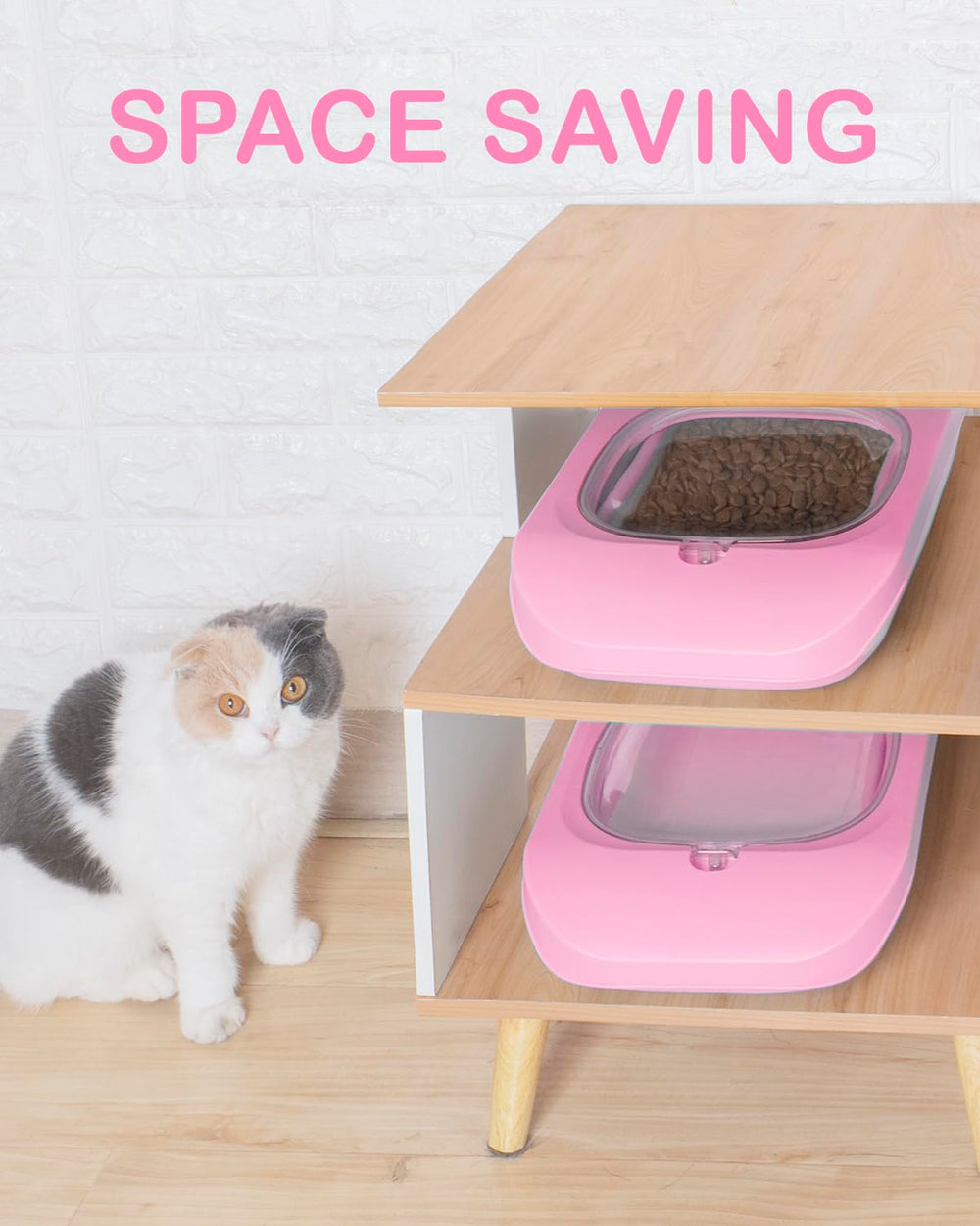 DDMOMMY silicone dog bowl highlights flexible, pet-friendly dining accessory.